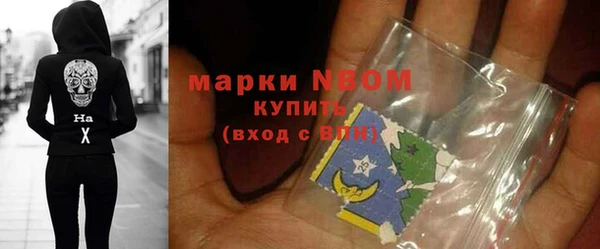 трава Сатка