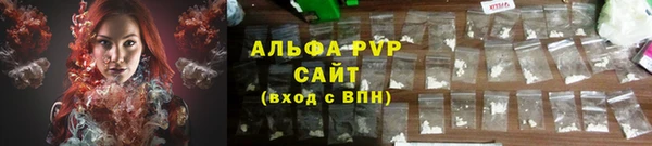 трава Сатка