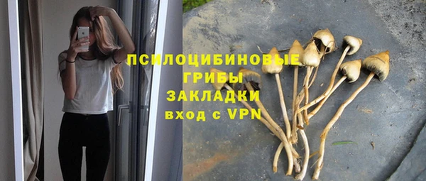 соль ск Верея
